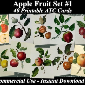 40 APPLE FRUIT SET #1 - Folhas de colagem digital Maçãs, cartões vintage, download para impressão, colagem digital, arte floral, Apple Atc, Aceo