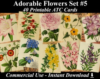 40 ADORABLE FLOWERS #5 - Digital Collage Sheets Flowers, Vintage Cards, Printable Download, Digital Collage, Floral Art, Flower Atc, Aceo
