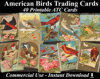 40 AMERICAN BIRD Trading Cards - Digital Collage Sheets Birds, Vintage Cards, Printable Download, Digital Collage, Bird Art, Fauna Atc, Aceo