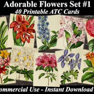 40 ADORABLE FLOWERS #1 - Digital Collage Sheets Flowers, Vintage Cards, Printable Download, Digital Collage, Floral Art, Flower Atc, Aceo