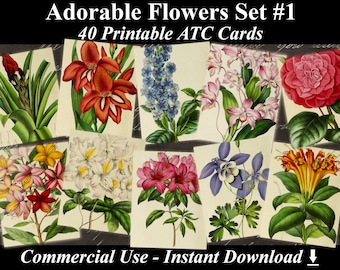 40 ADORABLE FLOWERS #1 - Digital Collage Sheets Flowers, Vintage Cards, Printable Download, Digital Collage, Floral Art, Flower Atc, Aceo