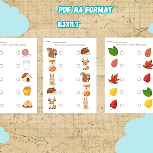 May include: Three educational worksheets with matching exercises. The worksheets feature colorful illustrations of animals, objects, and leaves. The text "PDF A4 FORMAT 8.3X11.7" is displayed at the top. The worksheets are designed for children.