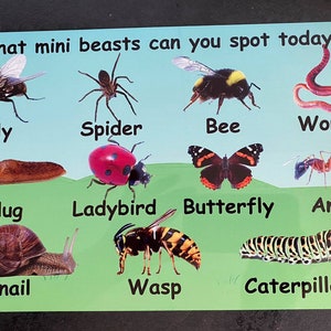 Cartello per esterni resistente alle intemperie - mini insetti bestia - eyfs- scuola-asilo-asilo-giardino- realizzato in metallo di alluminio