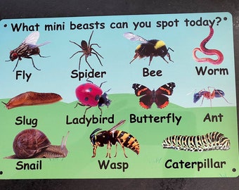 Outdoor Weatherproof sign - mini beast insects - eyfs- school-nursery-childminder-garden- made from Aluminium metal