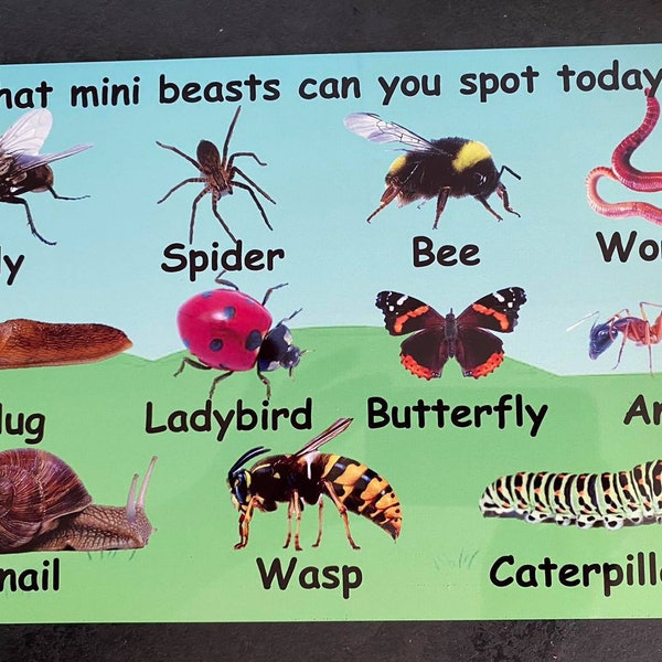 Outdoor Wetterfestes Schild - Mini Tier Insekten - Schule-Kindergarten-Kindergarten- aus Aluminium Metall