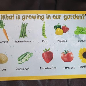 What are we growing in our garden? - Outdoor Weatherproof Sign/Plaque- Made from Metal- Garden - Allotment- Nursery- Childminder- School