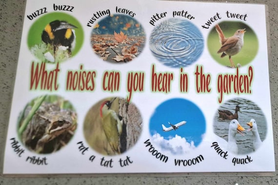 Outdoor Weatherproof sign - What can you hear in the garden - Eyfs- school-nursery-childminder-garden- made from Aluminium metal-Caterpillar