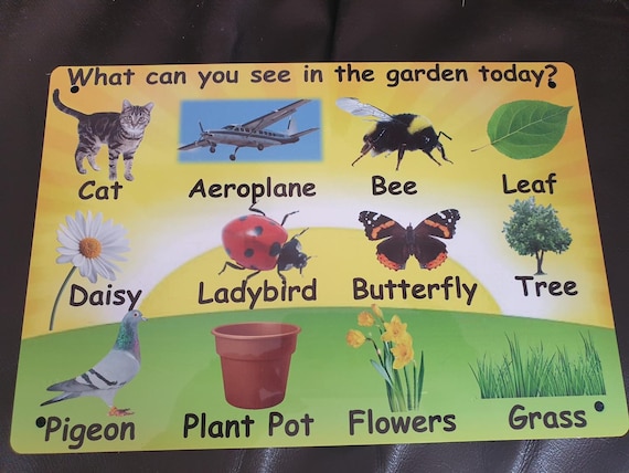 Outdoor Weatherproof Sign -What can you see in the garden today - made from aluminium metal - eyfs / nursery / childminder / garden / school