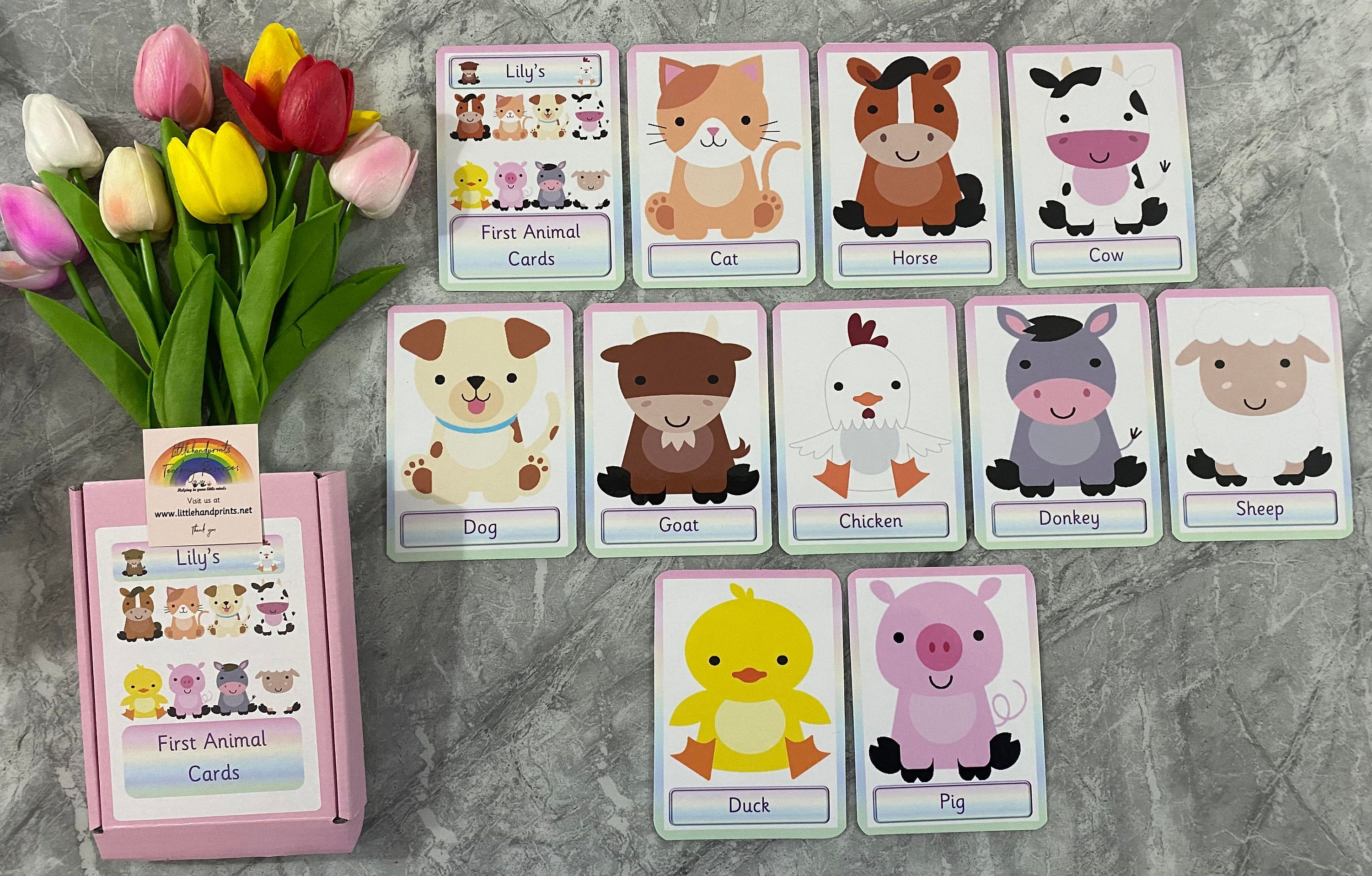 Set De 46 Tarjetas Flash De Animales Salvajes E Insectos – Material Educativo Con Anilla, Para Niños De 3 Años, Autismo, TDAH, Guarderías Y Terapia Del Habla