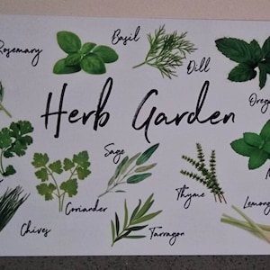 Op de afbeelding: Een wit metalen bord met de tekst "Herb Garden" in zwarte cursieve letters. Het bord toont illustraties van 12 verschillende kruiden, waaronder rozemarijn, basilicum, dille, oregano, peterselie, bieslook, koriander, salie, tijm, munt, citroengras en dragon.
