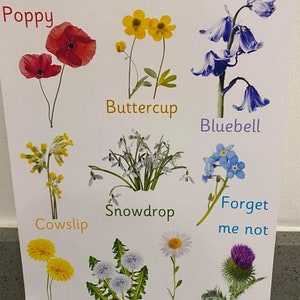 Signo resistente a la intemperie al aire libre - Flores silvestres - Hecho de metal - cuidador de niños-guardería-escuela-impermeable