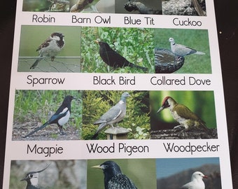 Outdoor Weatherproof Sign - Birds - Nursery / Childminder / School/ Garden - Made From Metal