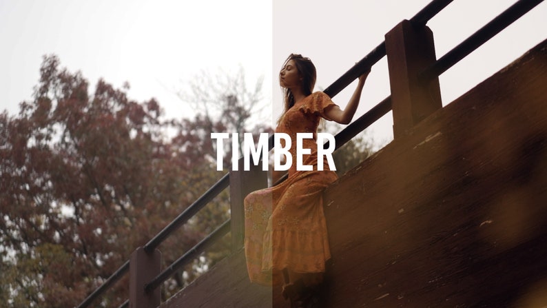 May include: A woman in a long, orange floral dress stands on a wooden bridge, holding onto the railing. The word "TIMBER" is printed in white letters on the bridge.