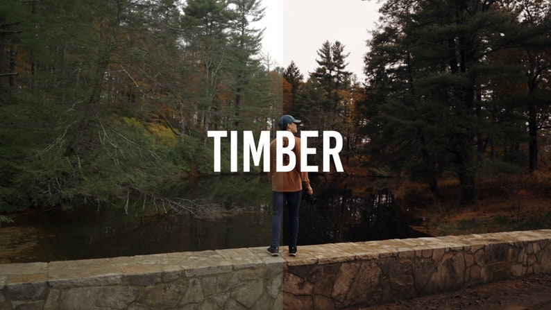 May include: A person standing on a stone bridge in a forest setting. The person is wearing a brown jacket, blue jeans, and a baseball cap. The word "TIMBER" is written in white letters on a dark background.