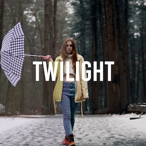 May include: A person wearing a yellow raincoat and blue jeans walks through a snowy forest with a black and white checkered umbrella. The word "TWILIGHT" is written in white letters on a black background.
