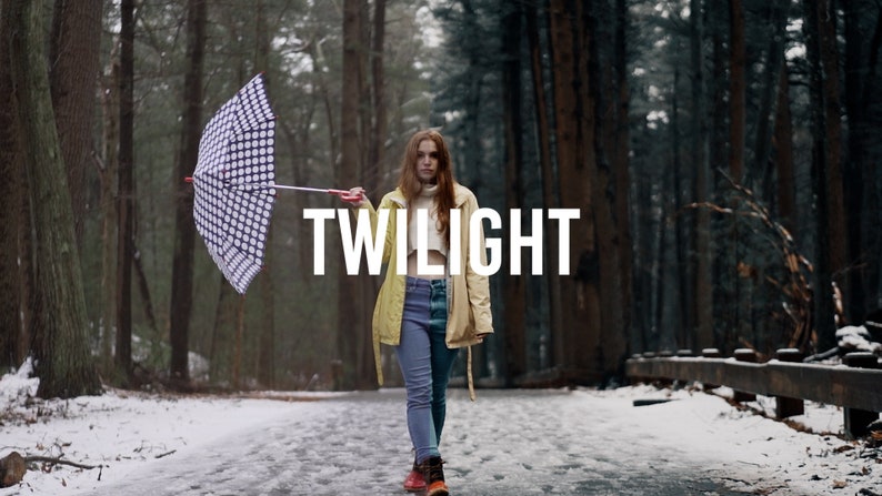 May include: A person wearing a yellow raincoat and blue jeans walks through a snowy forest with a black and white checkered umbrella. The word "TWILIGHT" is written in white letters on a black background.