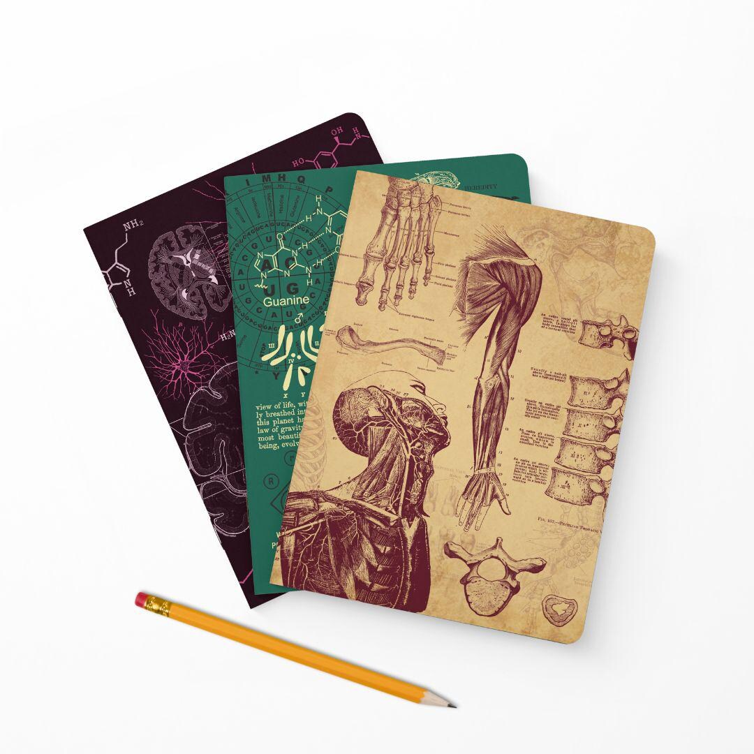 The Living Code: Anatomy, Evolution & Genetics, Neuroscience - Etsy
