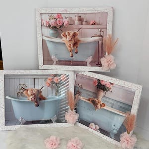 May include: Three rectangular wall art prints in distressed white frames, each depicting a Highland cow inside a light blue clawfoot bathtub. The scenes include pink floral arrangements and are decorated with soft pink fabric flowers and pampas grass.