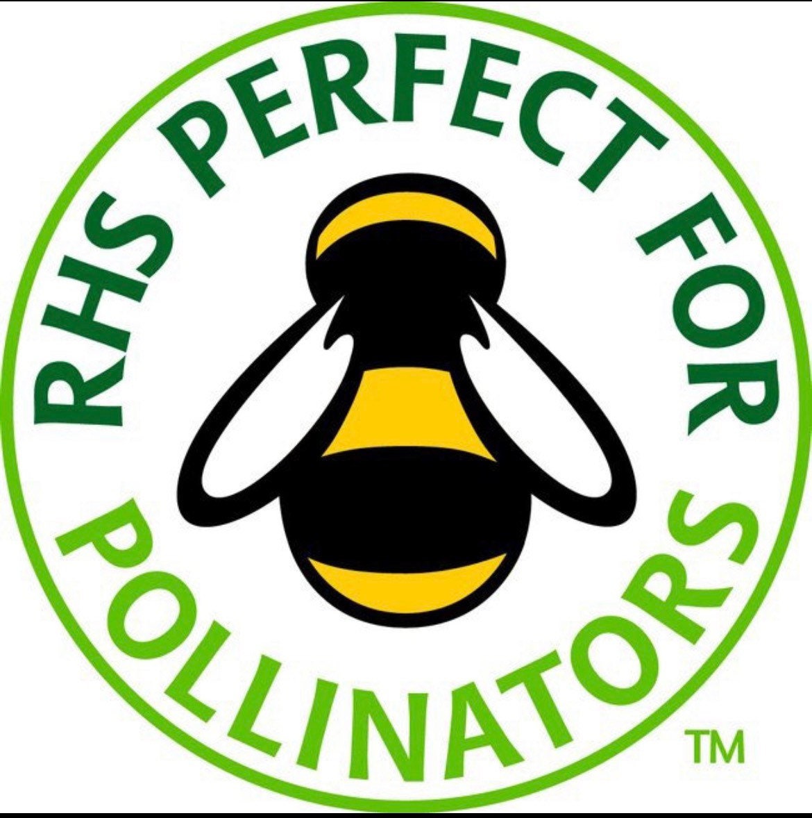 Bee Bombs Yorkshire wildflower seed bombs Bee friendly Etsy