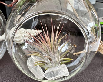 Tillandsia Terrarium Glass Sphere with Crystals/Desktop Plant/Boho Gift Idea/Wedding Decor/Gift for Her/Happy Plant with Crystals/Airplant