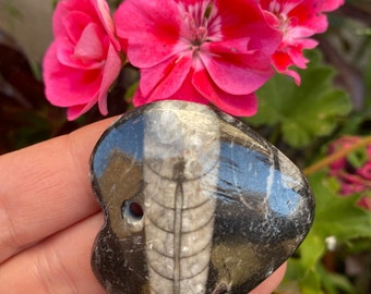 Orthocera Fossil Heart Pendant: Ancient Record Keeper