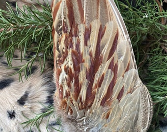 English Pheasant wing/ Prayer fan/ Smudge fan/ ceremony/ healing