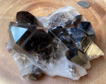 Grupo de cristales de cuarzo ahumado en bruto, decoración de altar, piedra para sanación Reiki