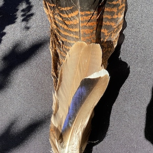 Smudge feather Fan/Prayer Fan/Healing/Feather Fan/Ceremony/Sacred/Feather wand/energy Cleansing/Meditation/Bird Tribe/Cleansing