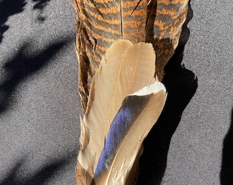 Abanico artesanal de plumas de pavo y ánade real para sahumar: oración, purificación, ceremonia.