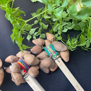 Peruvian Cacho seed rattle/ seed rattle/Peruvian seed rattle/ceremony/Sacred/peru/sound journey/sacred sound/vibration/healing
