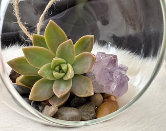 Glass Sphere Succulent Terrarium with Amethyst and River Rocks – Boho Desktop Plant