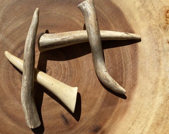 Real Deer Antler Pieces (Set of 7), Crafting Supply
