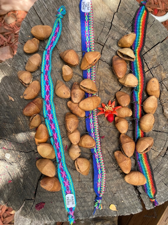 Cacho Seed Rattle Bracelet anklet peruvian Seeds ceremonial