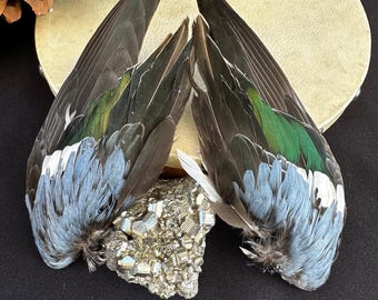 Mallard Duck Wing Prayer Fan – Natural Smudge Ceremony Tool