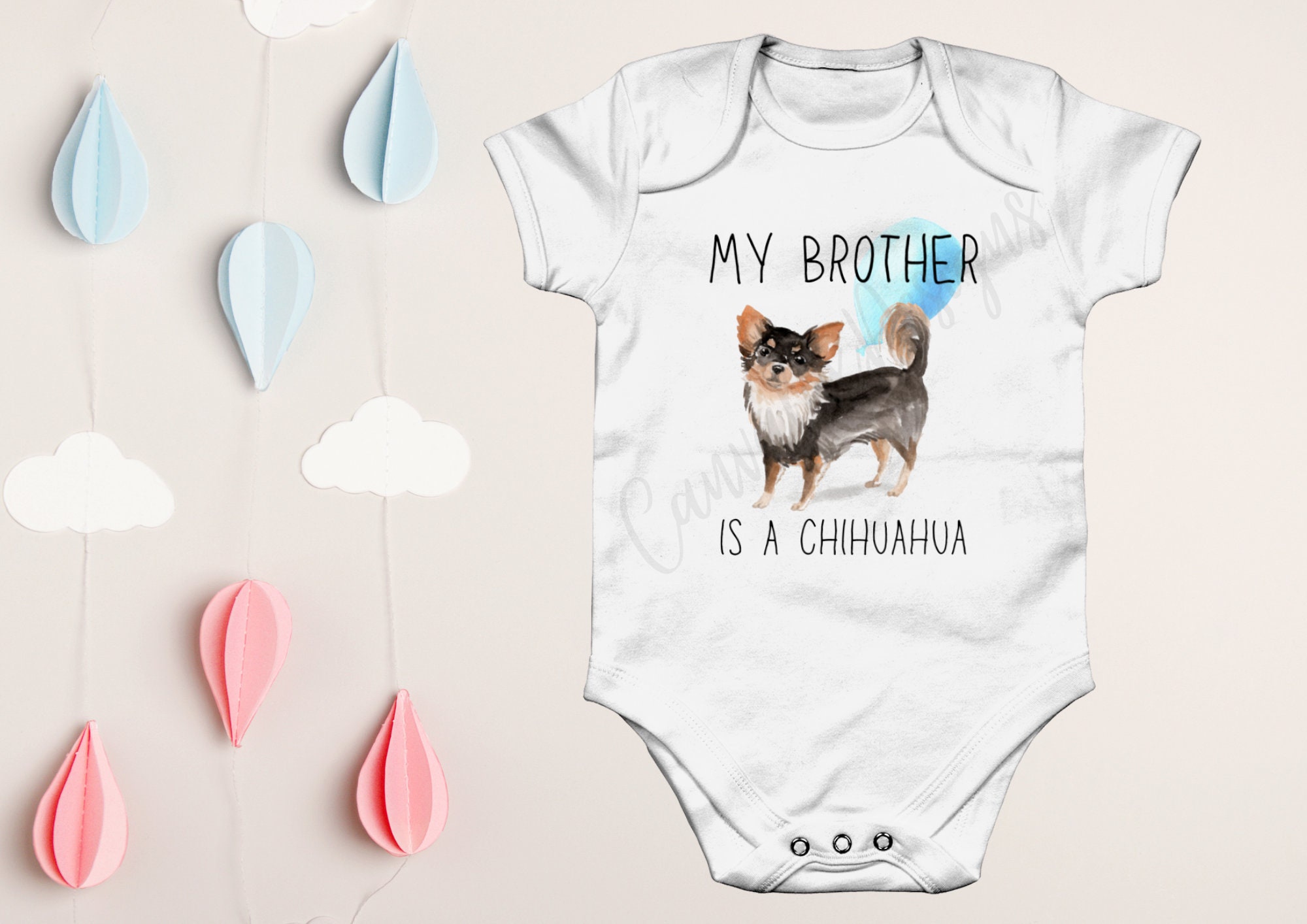 Chihuahua Baby Etsy UK