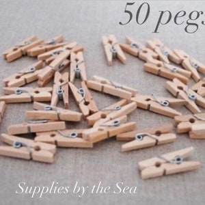 Mini Craft Wooden Clothes Pegs Natural Wood Pack of 50 100 -  UK