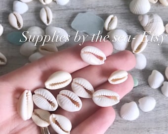 White Cowrie Shells: Natural Seashell Beads for Jewelry Making