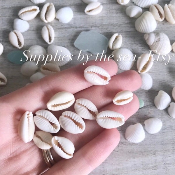 5/10/25/50/100 Cowrie shells , White seashells, Cut ready for jewellery making natural crafts projects. Cowry Shells Shell Beads Small Beige