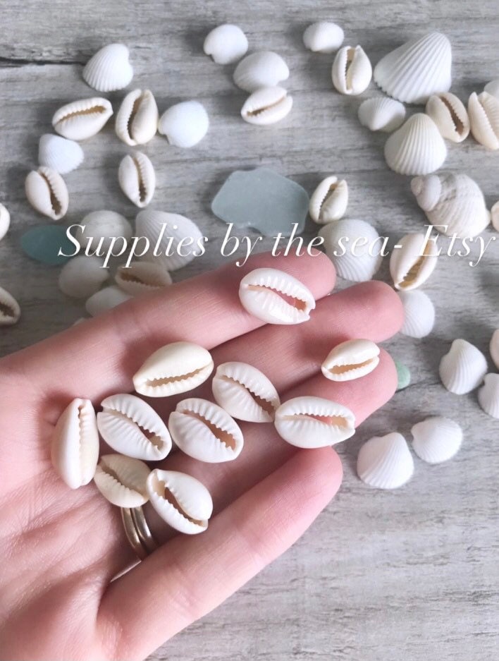 Natural Sea Shell Beads for Jewelry Making / Shell Crafts / Beach