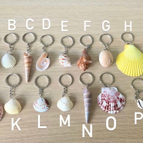 Sea Shell keyrings, Unique | Different | Quirky | Cowrie shell keyring, Eco friendly. Beachy, Bohohemian, Surfers keychain | Natural gift