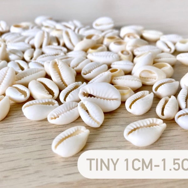 Tiny little Cowrie shells || Natural arts and crafts || Sea Shells Craft Confetti. Cut shells for jewellery making || Gift wrapping || boho