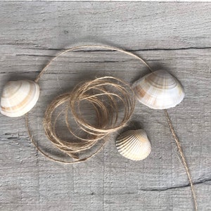 May include: A close-up of three seashells and a ball of twine on a light brown wooden surface.