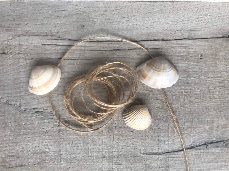 May include: A close-up of three seashells and a ball of twine on a light brown wooden surface.