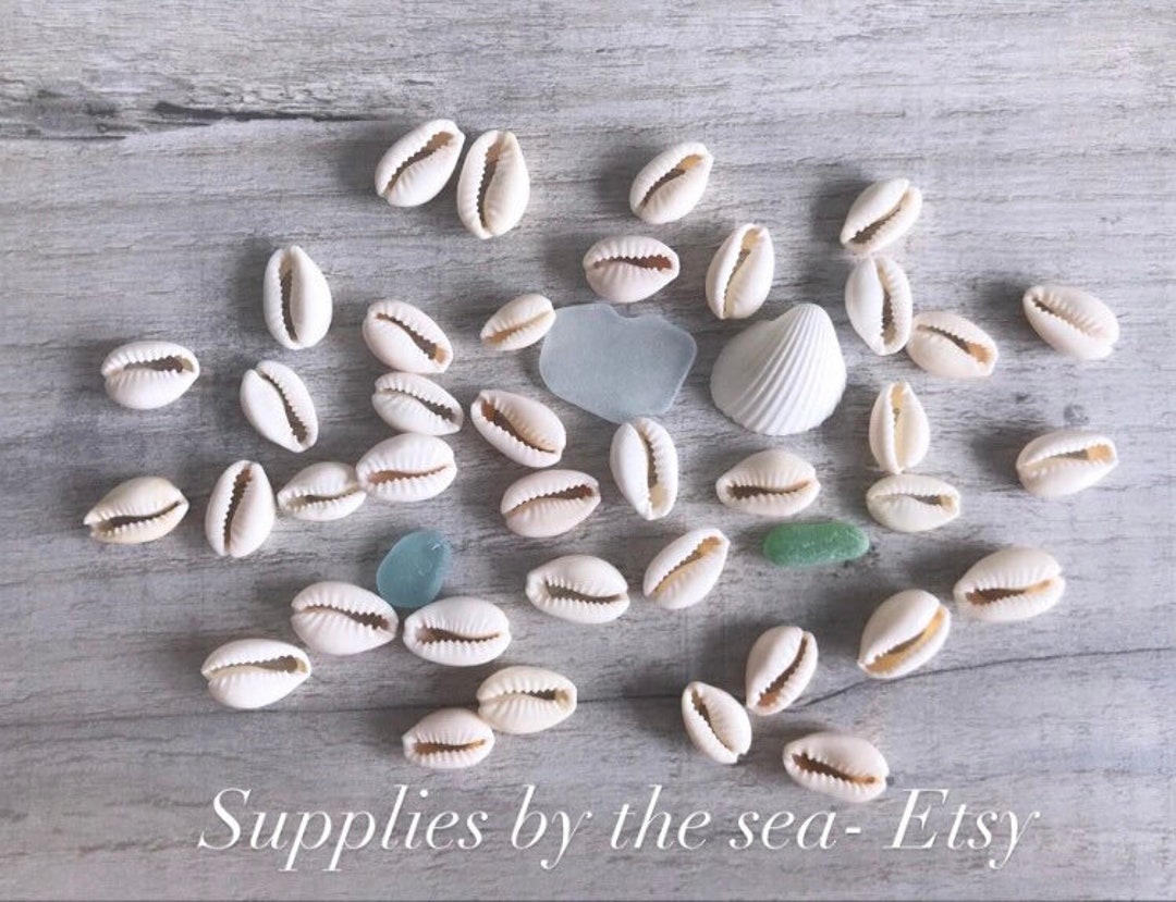 10-pack Painted Cowrie Shells Sliced Seashells Craft Beads Jewellery DIY  1.5-2cm