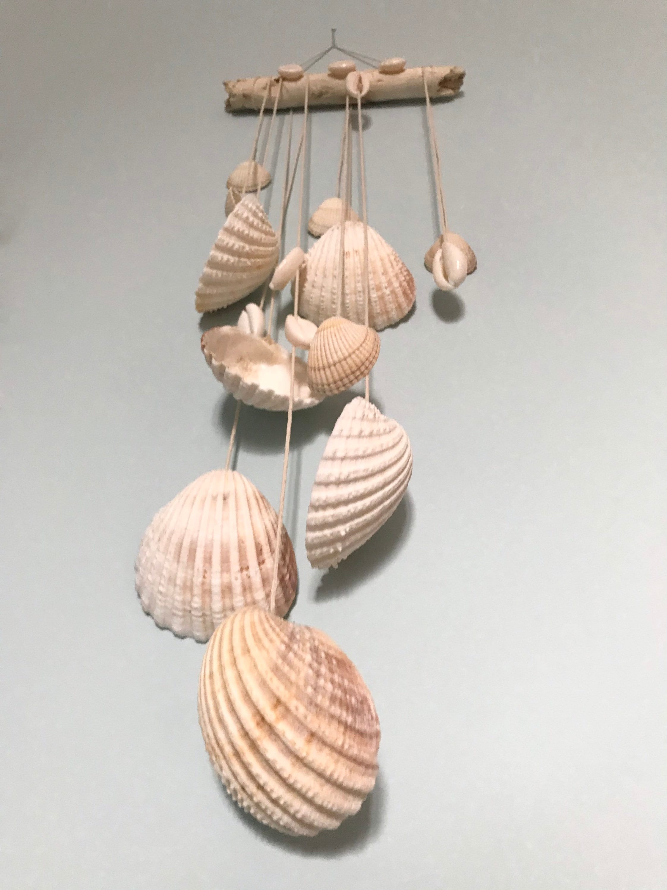 Handmade driftwood shell wall hanging. Seaside beach home Etsy