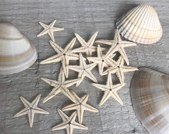 Lot De 32 Mini Décorations De Plage – Parasol, Chaises, Palmiers, Coquillages – DIY & Décoration