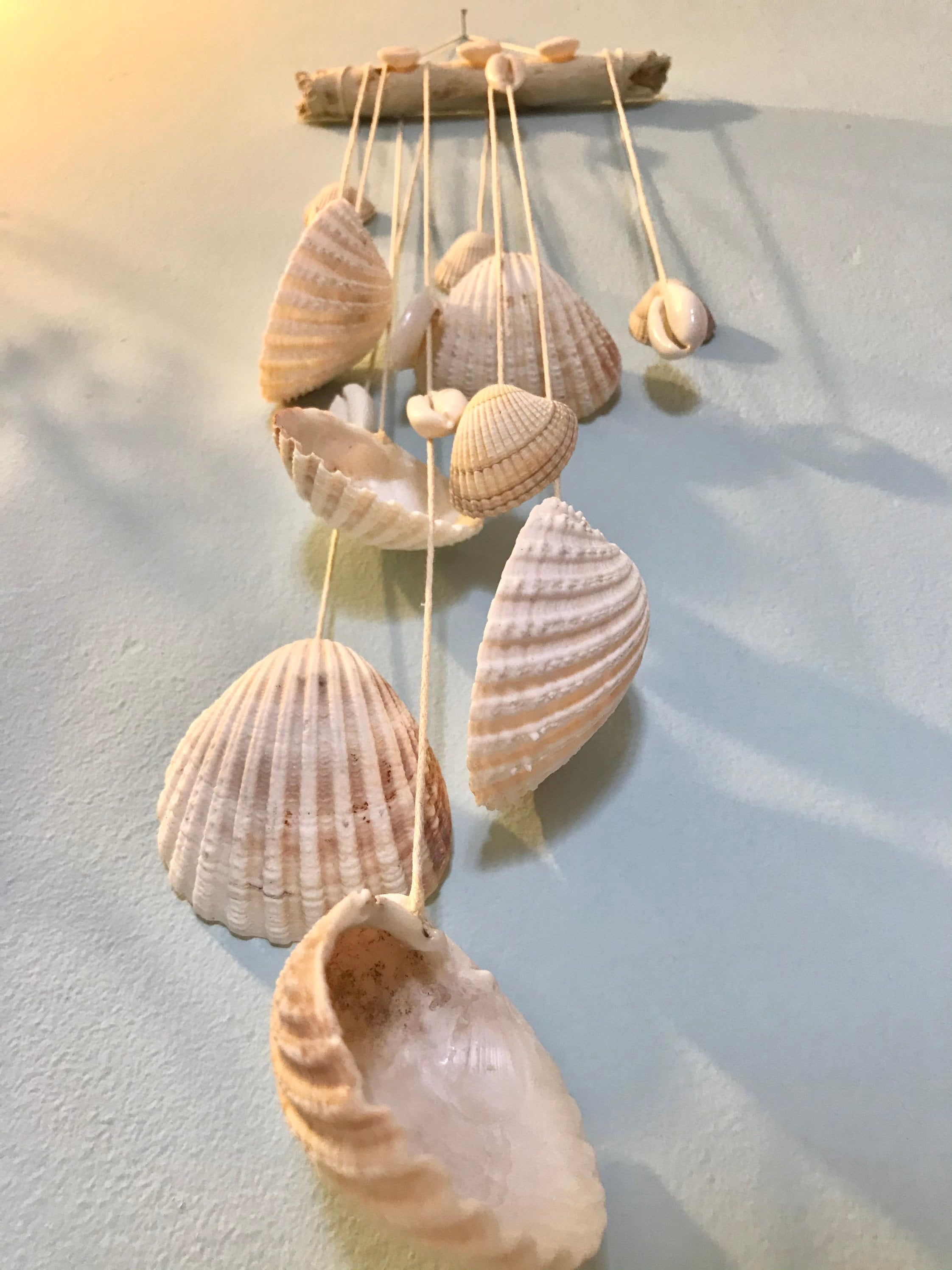 Handmade driftwood shell wall hanging. Seaside beach home | Etsy