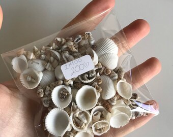 il_340x270.3612360186_kylq.jpg