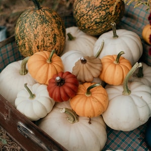 Cozy Fall Candles - Orange Candle - Pumpkin Candle set - Yellow Pumpkin Decor - Home Decor - Halloween Candle - Candle Decorations - Ukraine