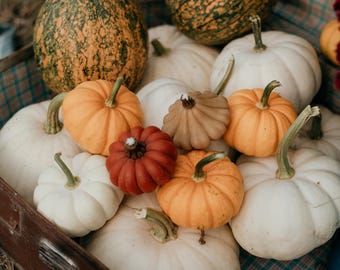 Cozy Fall Candles - Orange Candle - Pumpkin Candle set - Yellow Pumpkin Decor - Home Decor - Halloween Candle - Candle Decorations - Ukraine